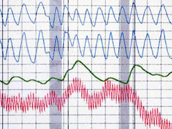 Test relationship polygraph Los Angeles